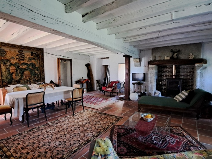 achat vente Ruines majestueuses médiévales et son logis a vendre  ISMH  Charroux , à proximité, 32km Vichy, 12km A71 PUY DE DOME AUVERGNE